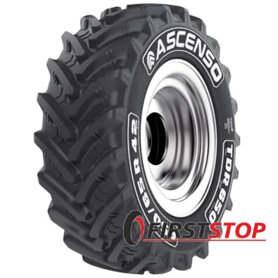Ascenso TDR 650 (с/г) 540/65 R24 146D
