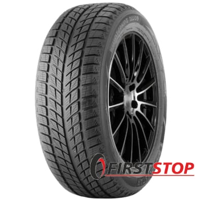 Doublestar WINTERKING DW09 275/40 R20 106V XL
