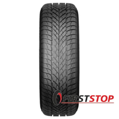Paxaro INVERNO 195/55 R16 87H